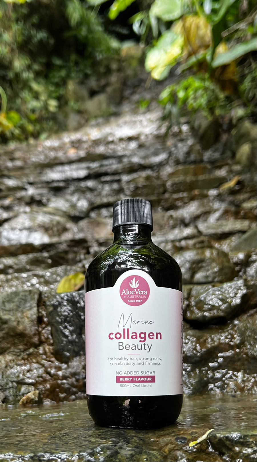 marine-collagen-beauty-l